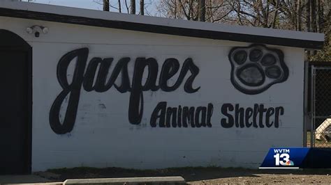 animal control carthage mo|jasper county mississippi animal shelter.